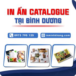 In Catalogue Binh Duong 36