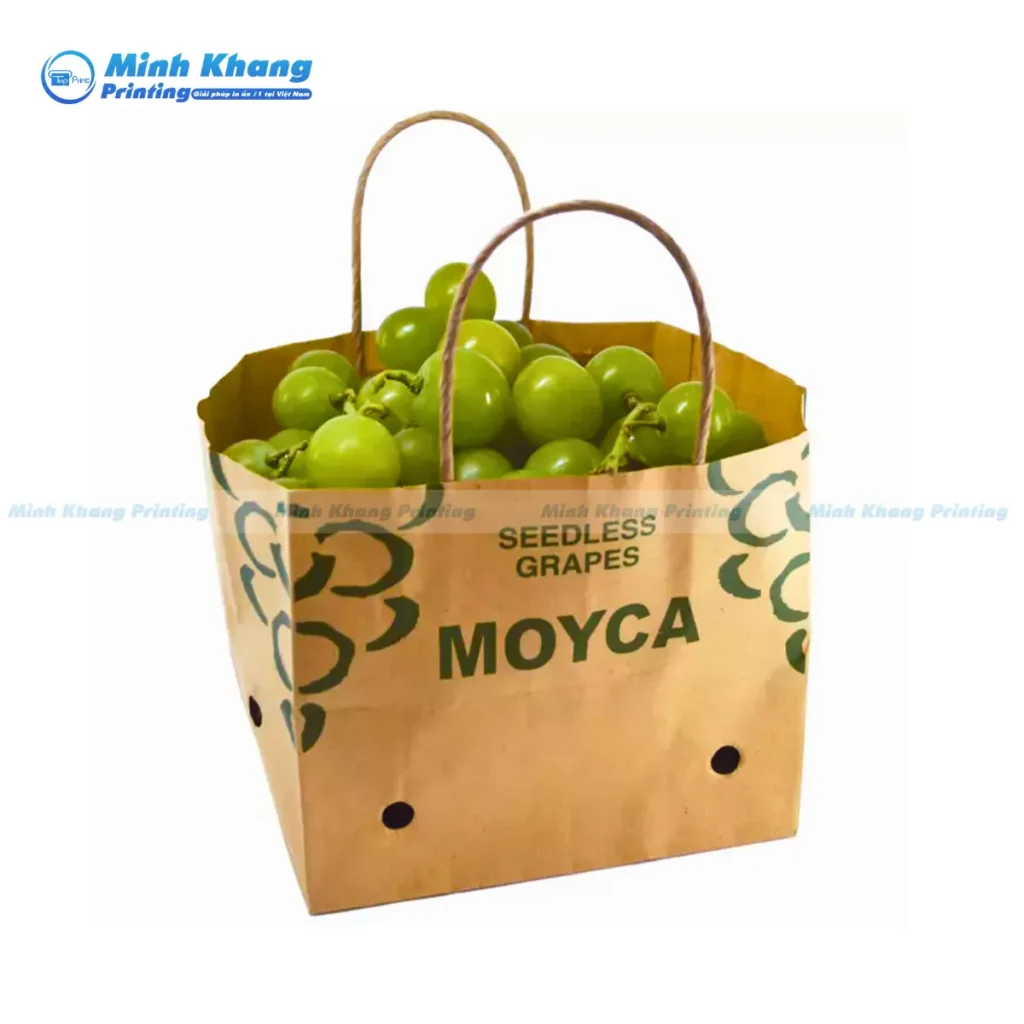 Mẫu túi giấy thân thiện với môi trường, dễ dàng phân hủy sinh học sau khi sử dụng