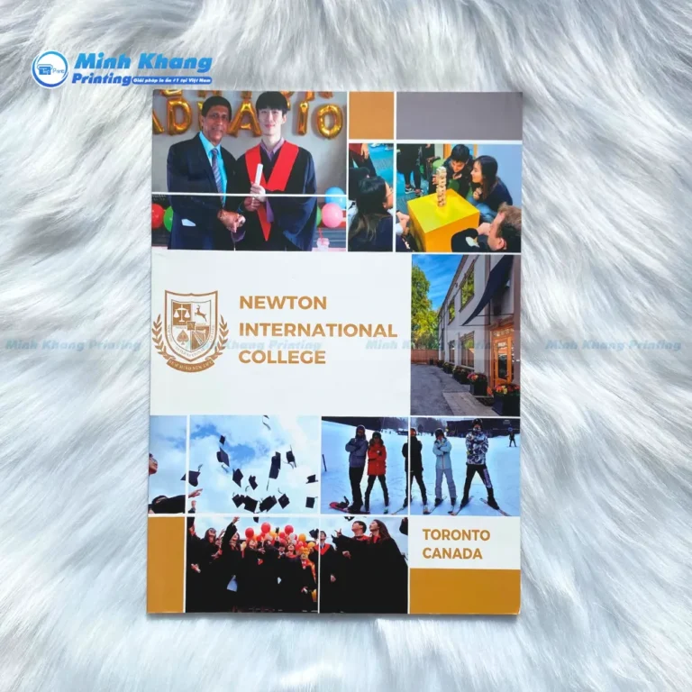 Mẫu Catalogue giới thiệu trường đại học Newton International College