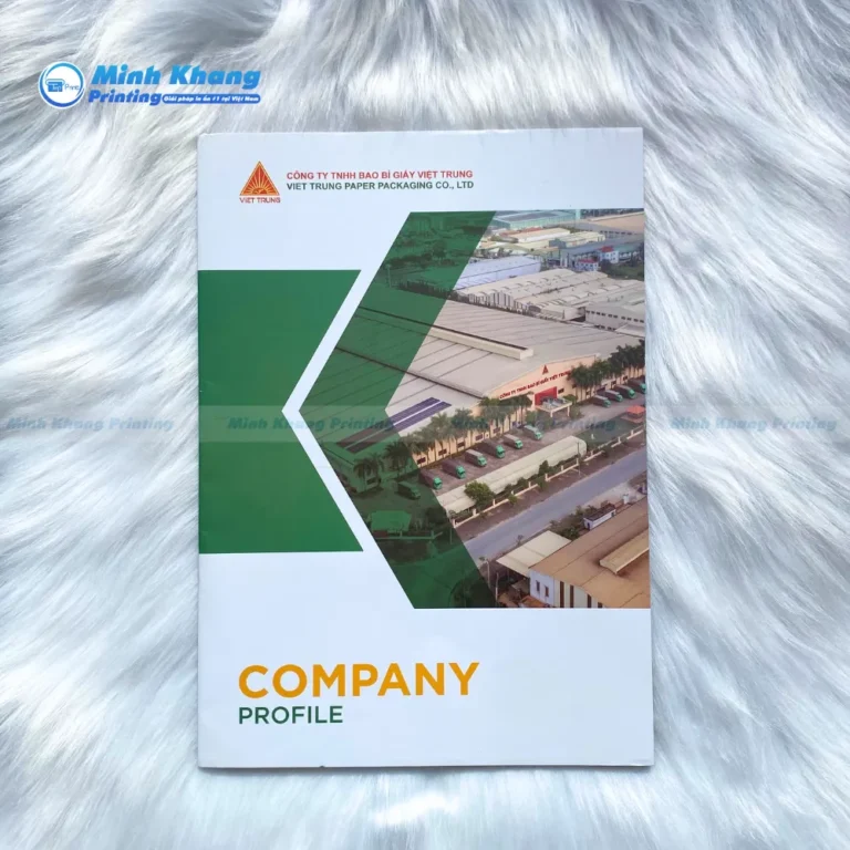 Mẫu Catalogue hồ sơ năng lực Công ty Bao Bì Giấy Việt Trung