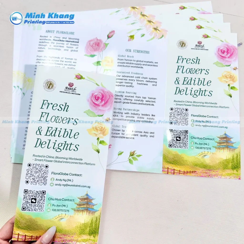 Mẫu brochure khổ A4 gấp ba là giải pháp kinh điển giúp công ty phân loại dịch vụ một cách khoa học