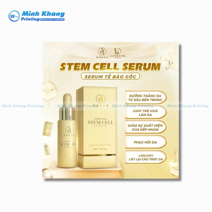 Mẫu Tờ Rơi Mỹ Phẩm STEM CELL SERUM Tế Bào Gốc Trẻ Hóa Làn Da