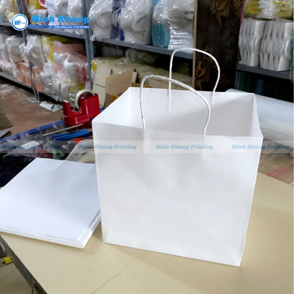 Mẫu túi giấy vuông kraft trắng thân thiện với môi trường