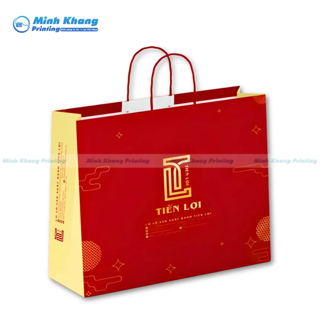 tui giay dung qua tet 4