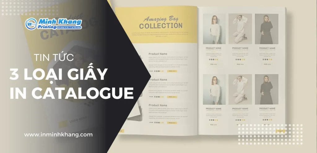 3 Loại Giấy In Catalogue Được Ưa Chuộng Nhất Hiện Nay