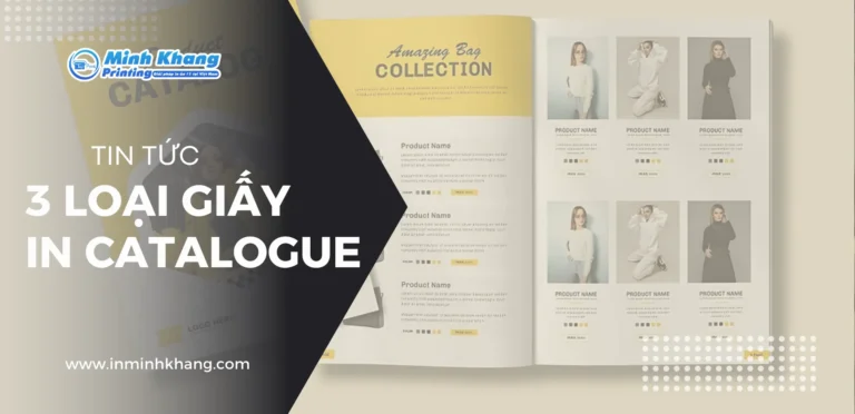 3 Loại Giấy In Catalogue Được Ưa Chuộng Nhất Hiện Nay