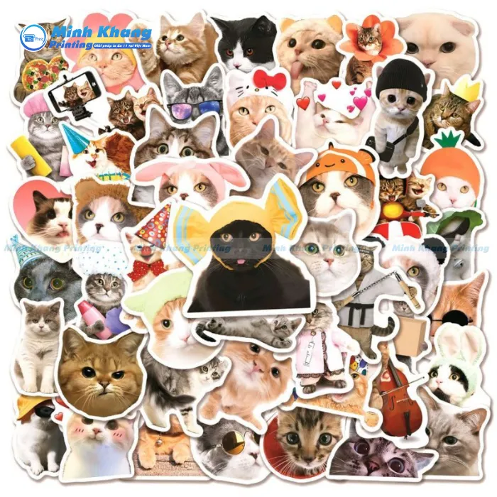 Mẫu Sticker Mèo Thật Mèo Đen Meme Hài Hước