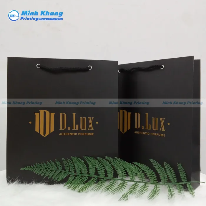 Mẫu Túi Giấy Đứng D.Lux Tối Giản