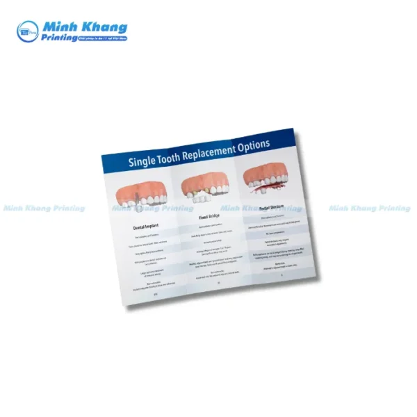 Mẫu Brochure Nha Khoa Đột Phá Trong Thiết Kế