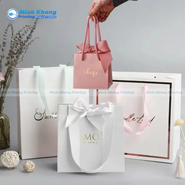 Mẫu Túi Giấy Dây Ruy Băng Đa Dạng & Đẹp