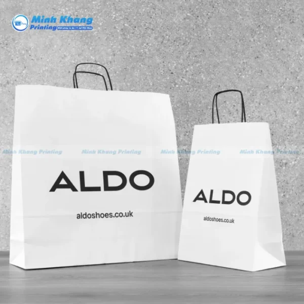 Mẫu Túi Giấy Aldo Đẹp & Thân Thiện Vừa Thời Trang Vừa Bảo Vệ Môi Trường
