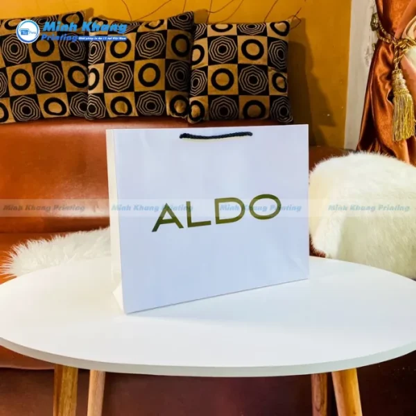 Mẫu Túi Giấy Aldo Đơn Giản & Thanh Lịch, Hoàn Hảo