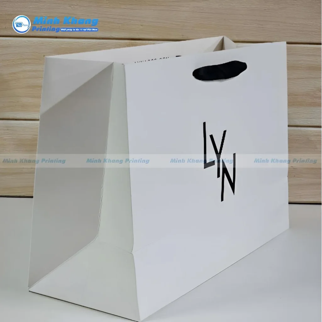 Mẫu Túi Giấy LYN Lớn, Ngang & Độc Đáo 
