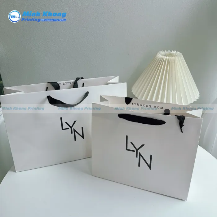 Điểm Nổi Bật Của Túi Giấy Lyn 