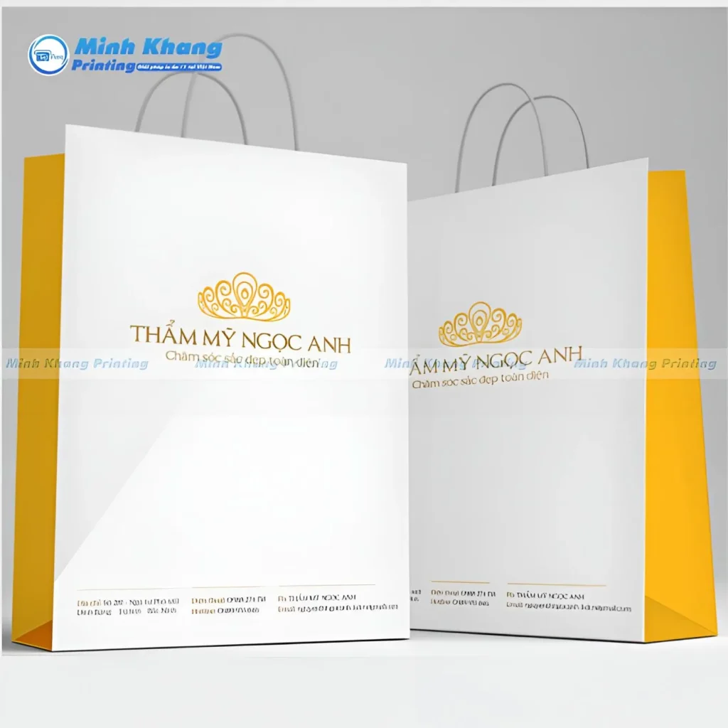 Mẫu Túi Giấy Thẩm Mỹ Ngọc Anh Tươi Sáng & Nổi Bật