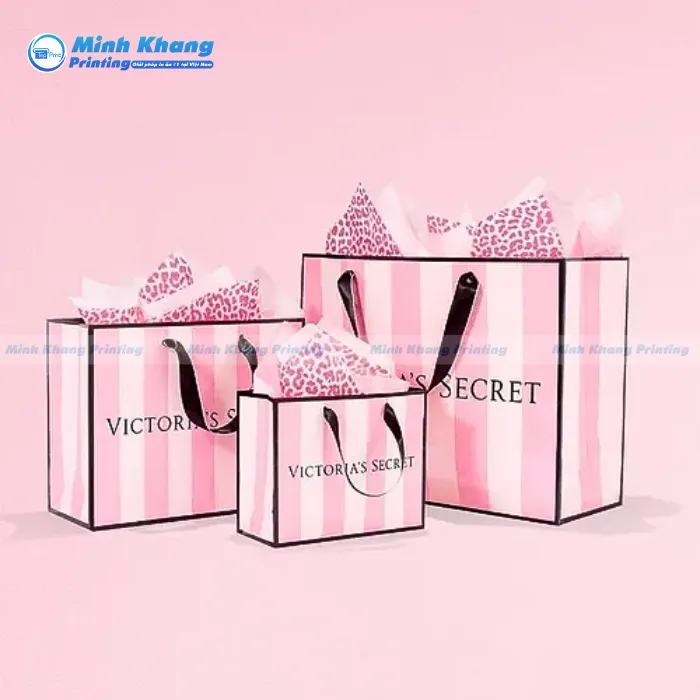 Giới Thiệu Về Túi Giấy Victoria Secret