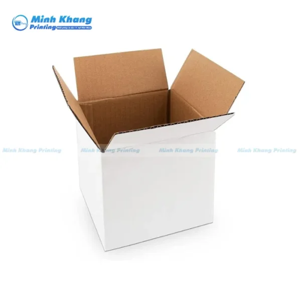 Mẫu Hộp Giấy Carton Trắng Đẹp, Đơn Giản