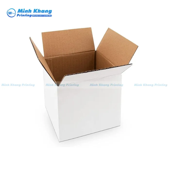 Mẫu Hộp Giấy Carton Trắng Đẹp, Đơn Giản