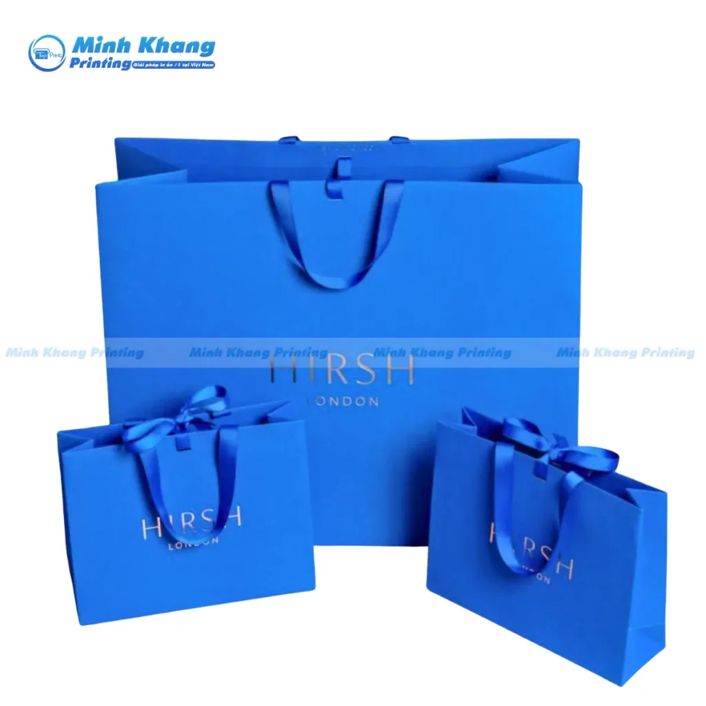 Giới Thiệu Túi Giấy Xanh Dương