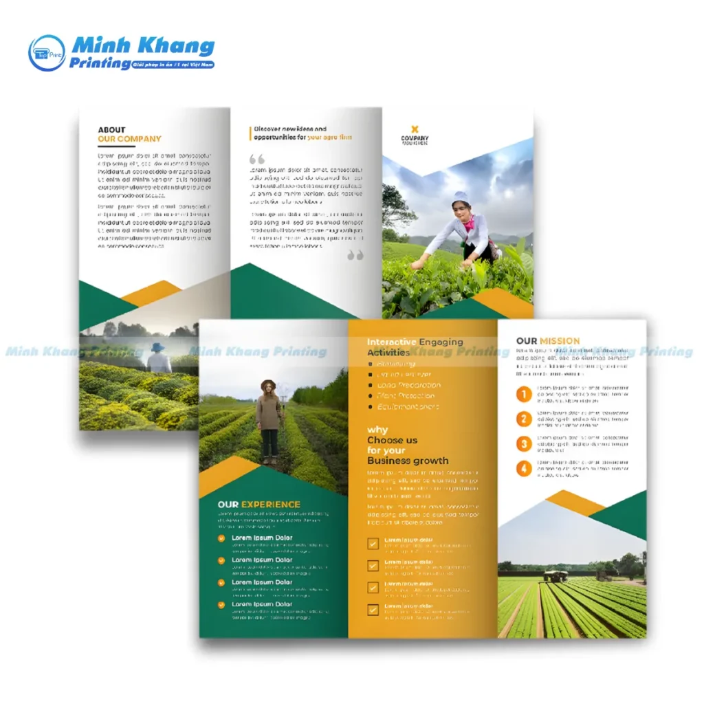 Giới Thiệu Tổng Quan Về Brochure Phân Bón