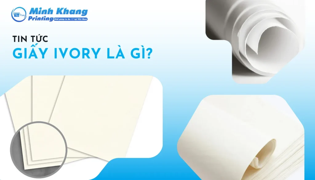 giấy ivory là gì?