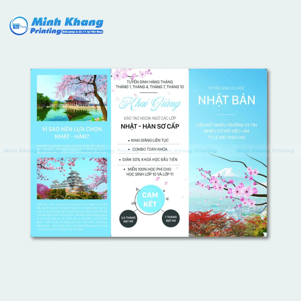 33+ Mẫu Brochure Du Học Đẹp – Hấp Dẫn Học Viên