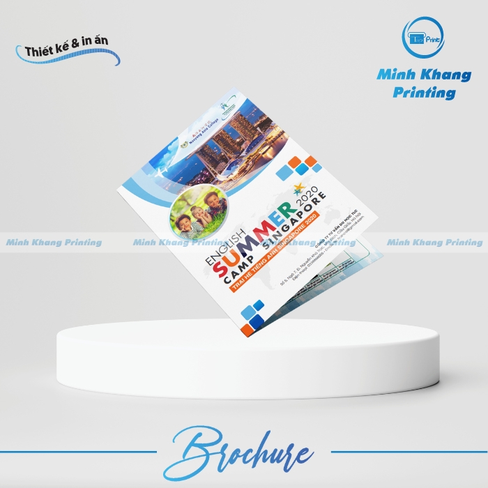 33+ Mẫu Brochure Giáo Dục Đẹp Tạo Sự Chuyên Nghiệp