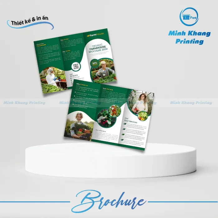 20+ Mẫu Brochure Phân Bón Thiết Kế Đẹp & Chuyên Nghiệp