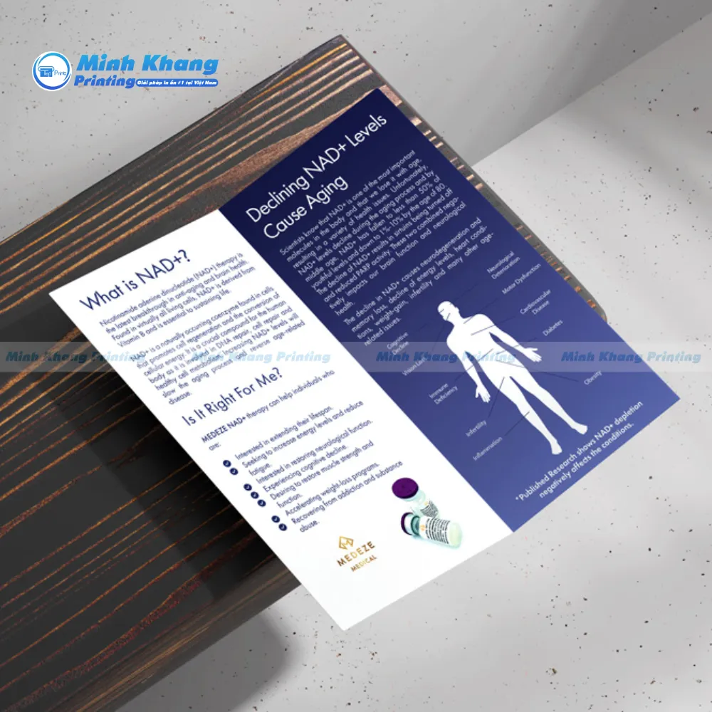 25+ Mẫu Brochure Quảng Cáo Đẹp & Nổi Bật Thu Hút