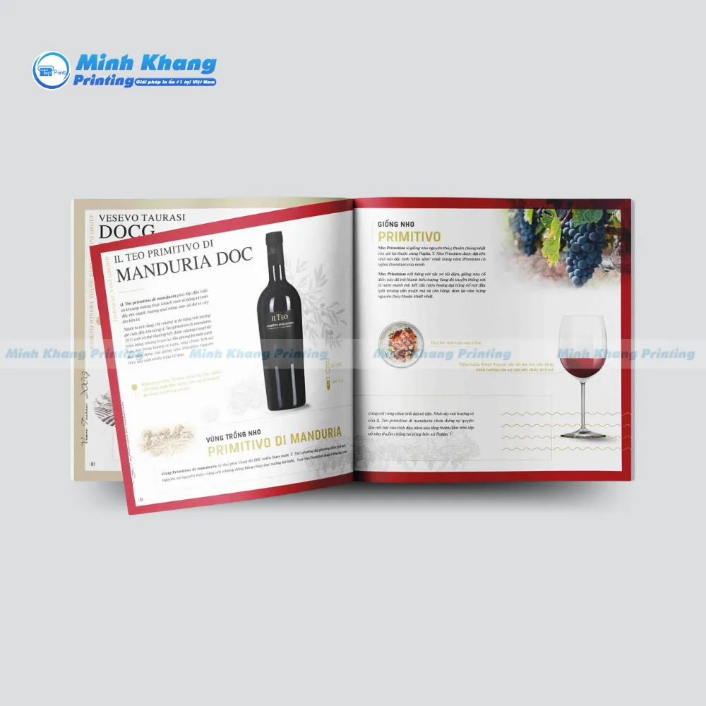 10+ Mẫu Catalogue Mini Thiết Kế Đẹp Độc Đáo