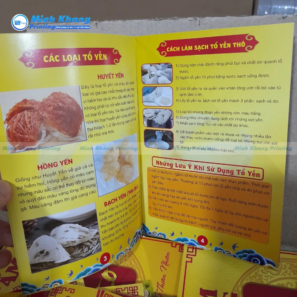 60+ Mẫu Catalogue Yến Sào Đẹp & Ấn Tượng Với Khách Hàng