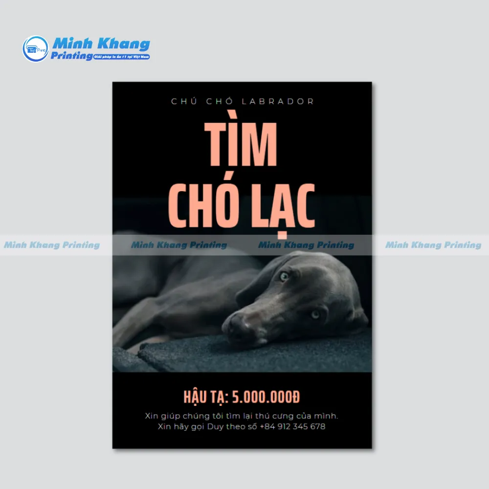 TOP 10+ Mẫu Tờ Rơi Tìm Chó Lạc Hiệu Quả & Thu Hút