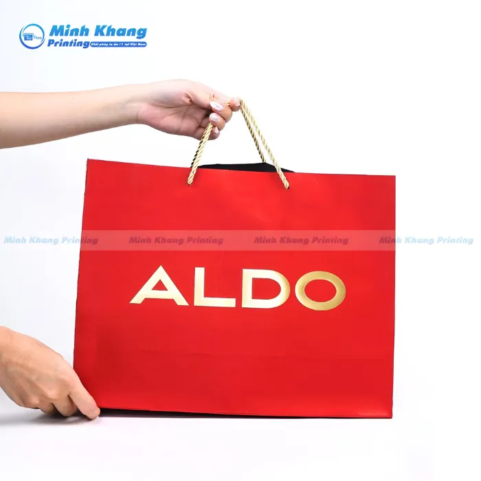 20+ Mẫu Túi Giấy Aldo Thời Trang & Thân Thiện Với Môi Trường