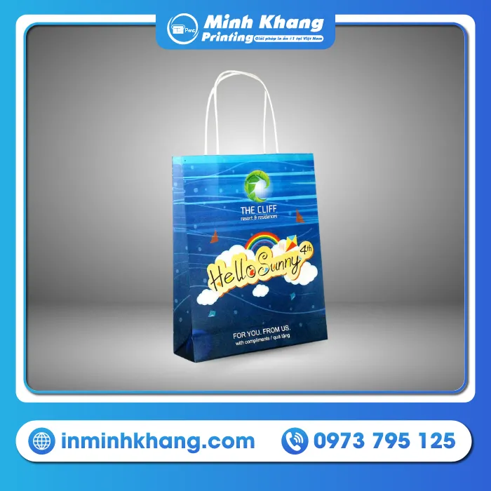 66+ Mẫu Túi Giấy Cao Cấp, Sang Trọng, Độc Đáo & Khác Biệt