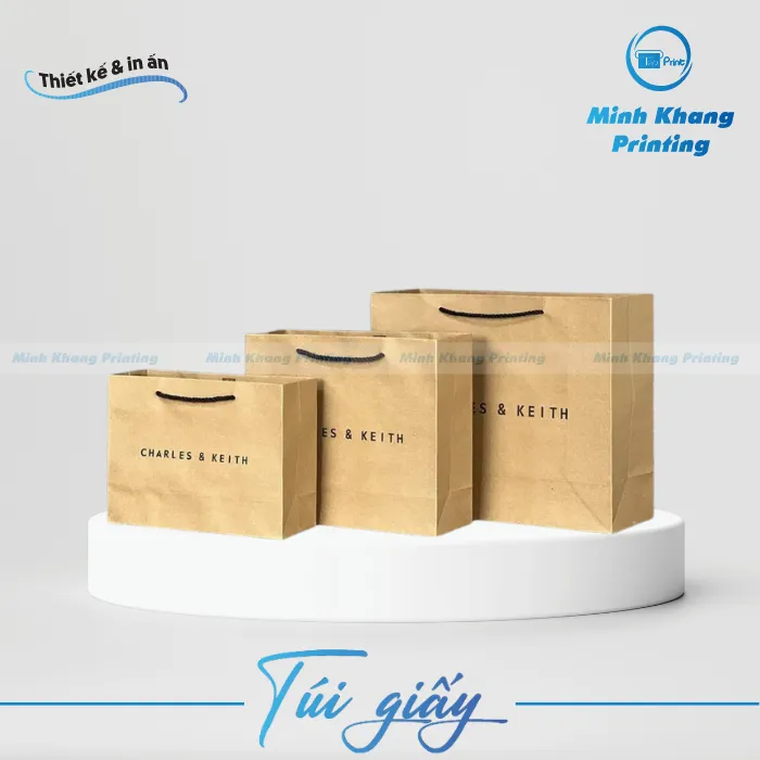 47+ Mẫu Túi Giấy Charles & Keith Đẹp Nổi Bật Thương Hiệu