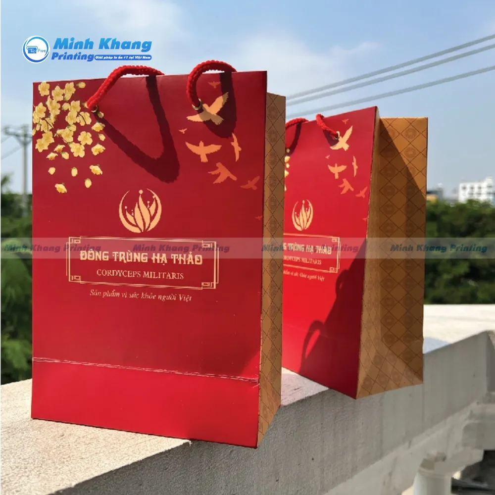30+ Mẫu Túi Giấy Chúc Mừng Năm Mới Sáng Tạo & Đẹp