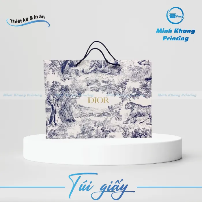 22+ Mẫu Túi Giấy Dior Đẹp & Thể Hiện Đẳng Cấp