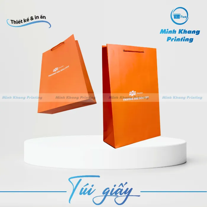 31+ Mẫu Túi Giấy In Logo Thương Hiệu, Đẹp & Nổi Bật