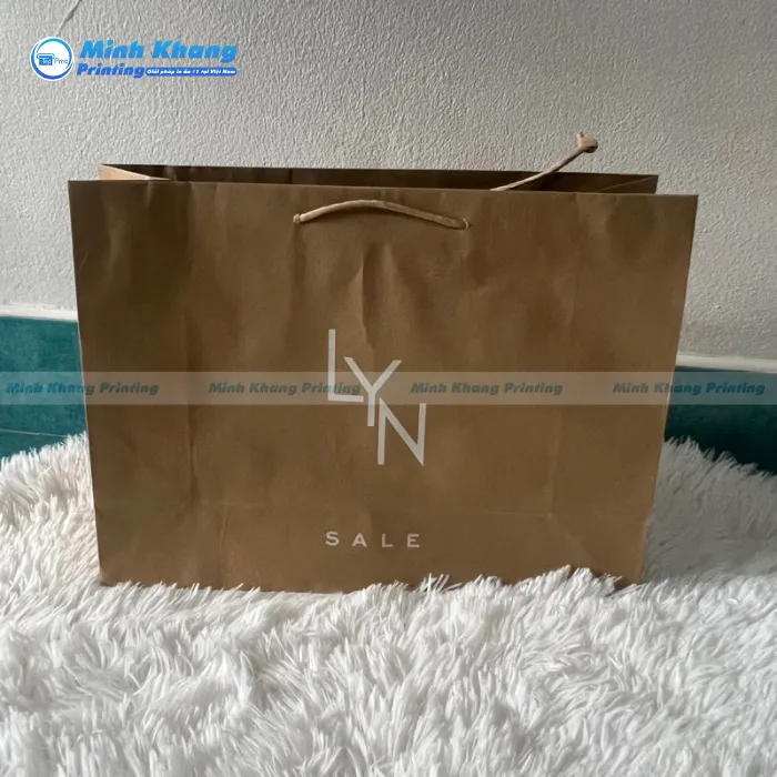 10+ Mẫu Túi Giấy Lyn Thời Trang, Đẹp & Sang Trọng