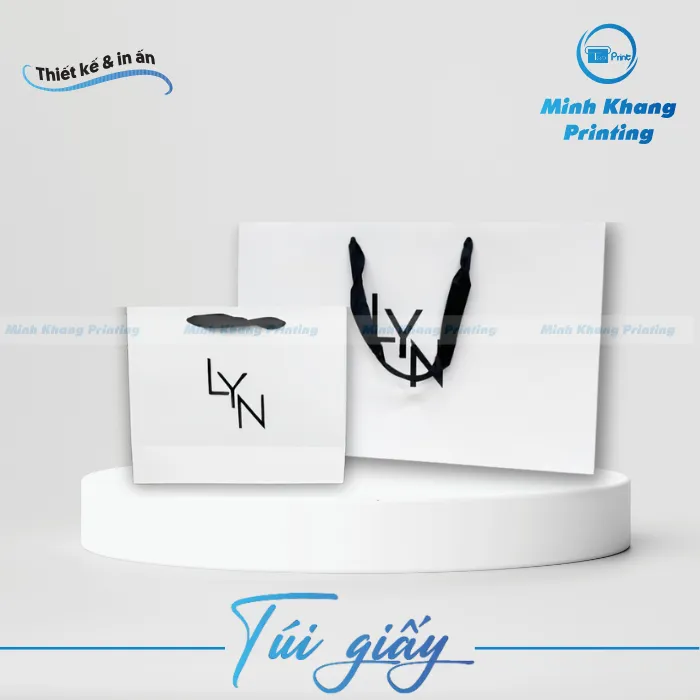 10+ Mẫu Túi Giấy Lyn Thời Trang, Đẹp & Sang Trọng