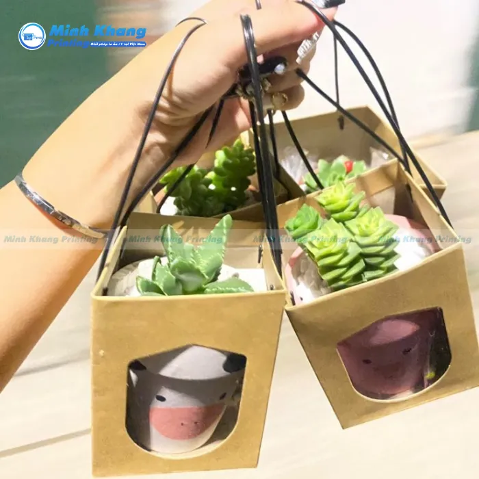20+ Mẫu Túi Giấy Mặt Kính Đẹp, Đựng Sản Phẩm Tiện Lợi